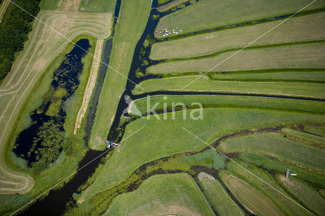 Nieuw Loosdrecht