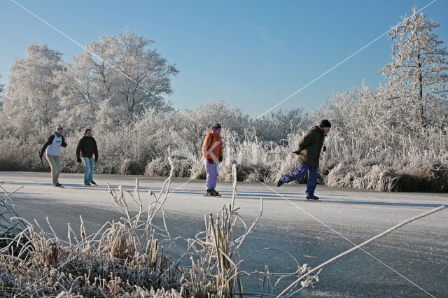 Nieuwkoopse Plassen