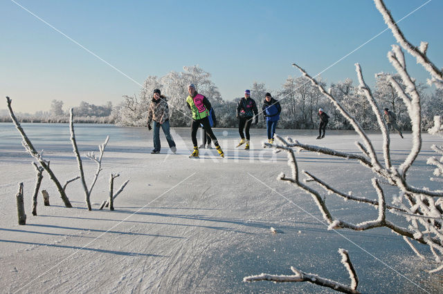 Nieuwkoopse Plassen