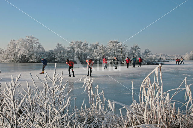 Nieuwkoopse Plassen