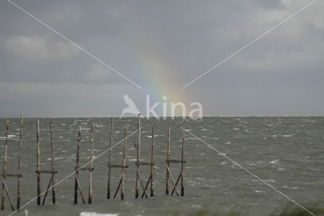 Noordzeestrand