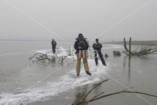 Oostvaardersplassen