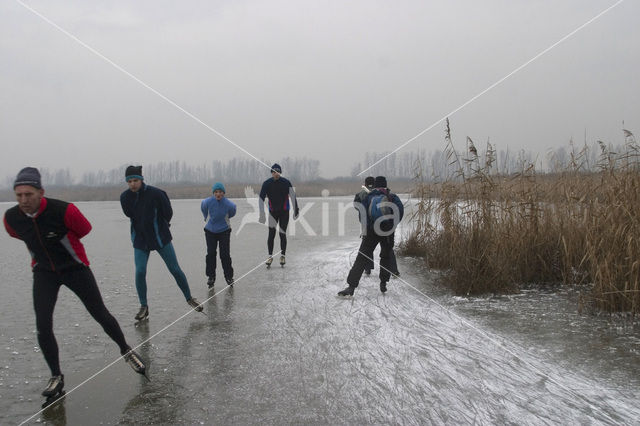 Oostvaardersplassen