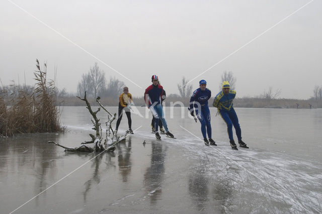 Oostvaardersplassen