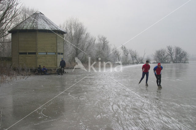 Oostvaardersplassen