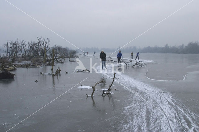 Oostvaardersplassen