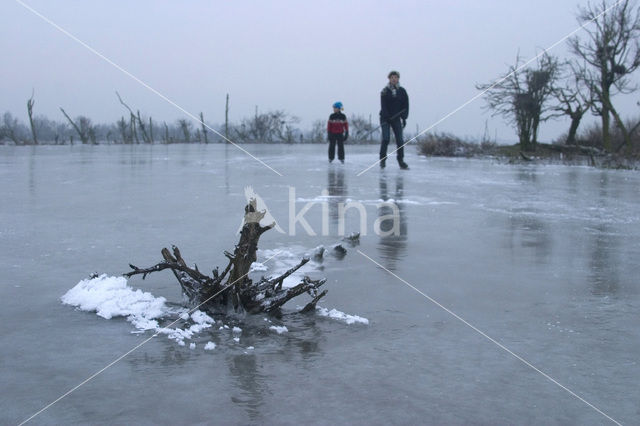 Oostvaardersplassen