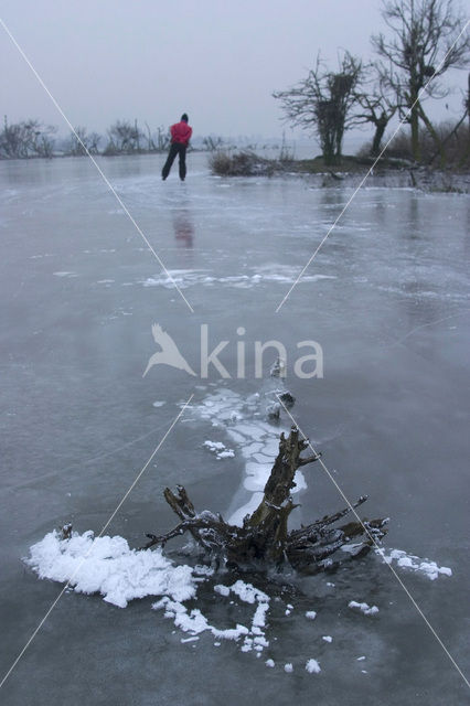 Oostvaardersplassen