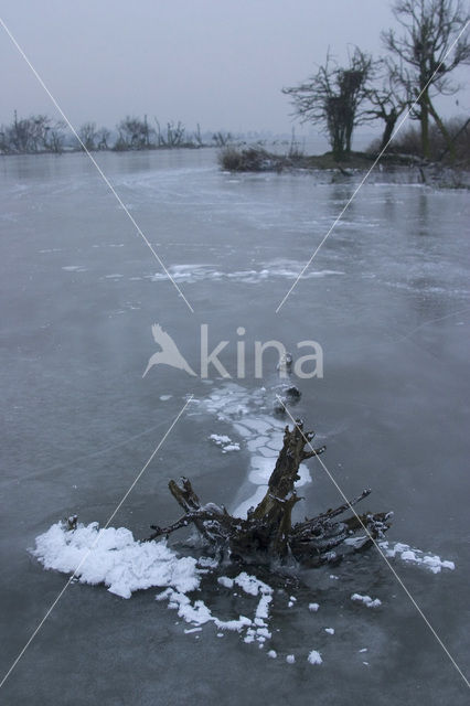 Oostvaardersplassen