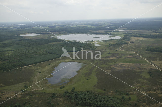 Strabrechtse Heide