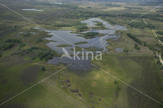 Strabrechtse Heide