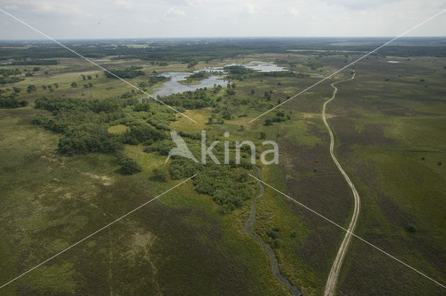 Strabrechtse Heide