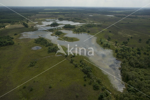 Strabrechtse Heide