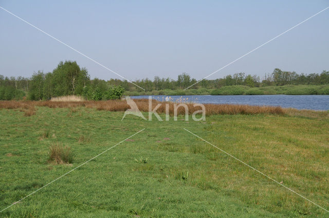 Boswachterij Leende