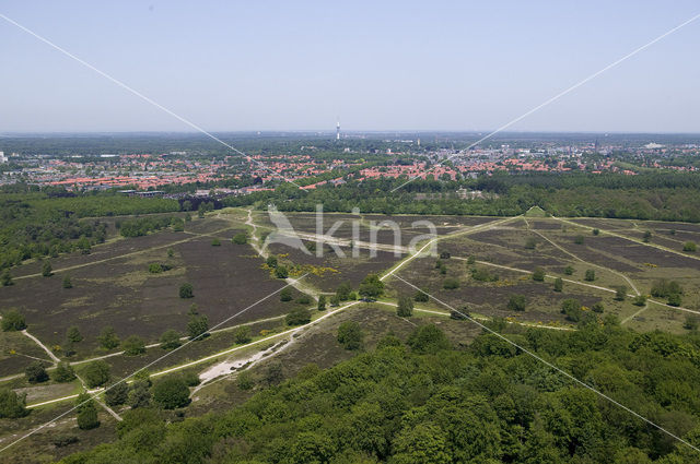 Hoorneboegse Heide