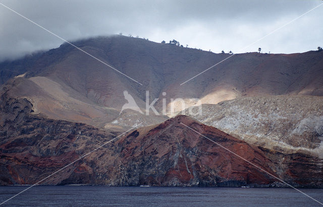 Isla Guadalupe