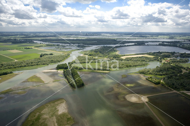 Nationaal Park de Biesbosch