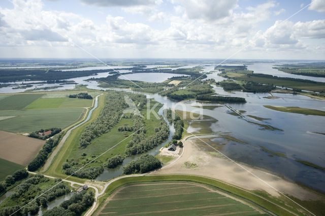 Nationaal Park de Biesbosch