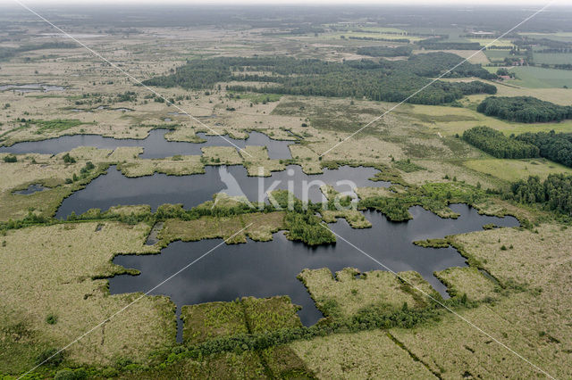 Nationaal Park de Groote Peel