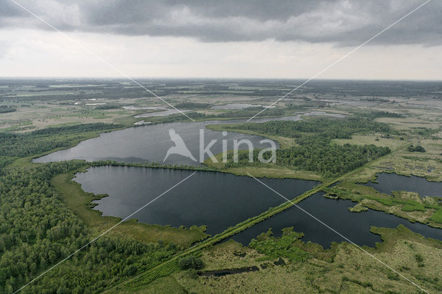 Nationaal Park de Groote Peel