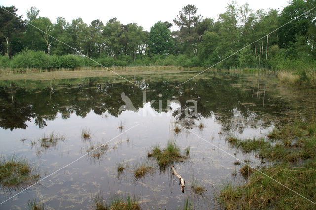 Nationaal Park Grenspark De Zoom