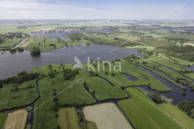 Nieuwkoopse Plassen