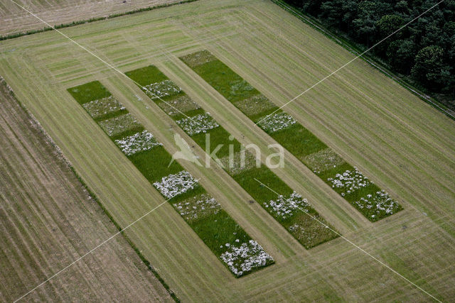 Noord-Brabant