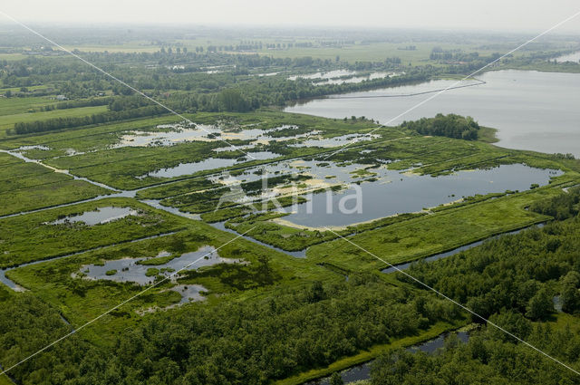 Oostelijke Binnenpolder