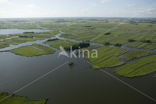 Polder Wormer