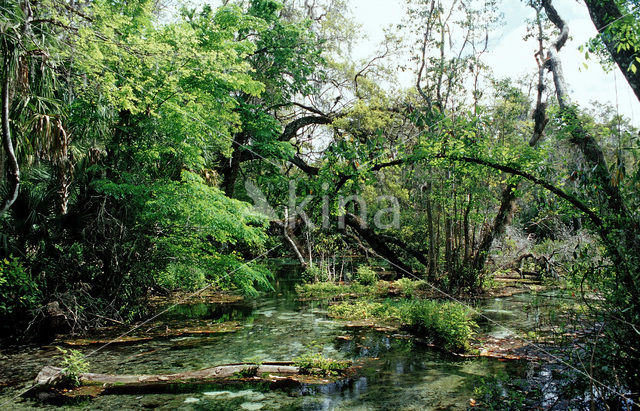 Rainbow Springs State Park