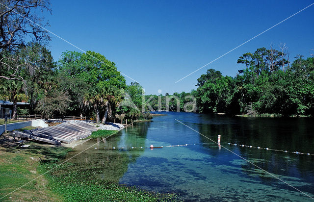 Rainbow Springs State Park