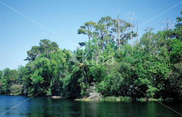 Rainbow Springs State Park