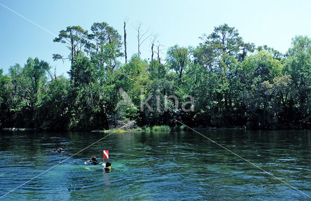 Rainbow Springs State Park