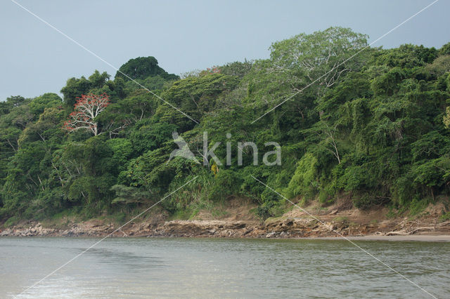 Tambopata National Park