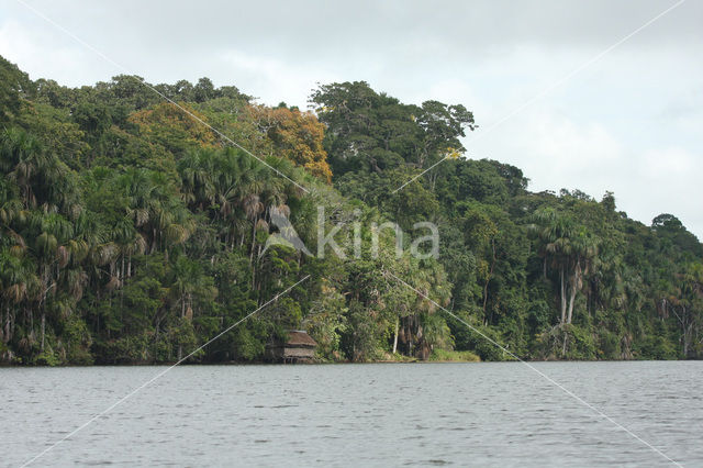 Tambopata National Park