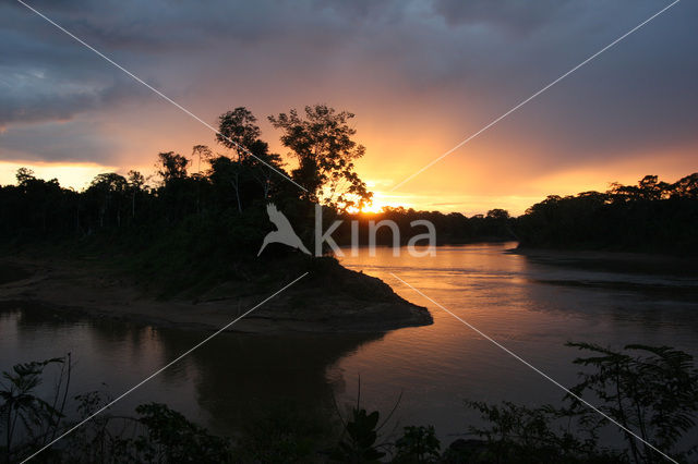 Tambopata National Park