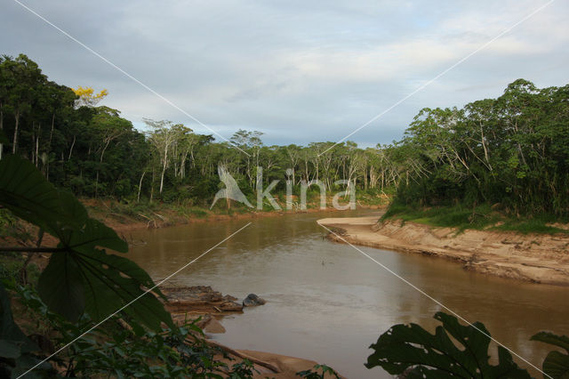 Tambopata National Park