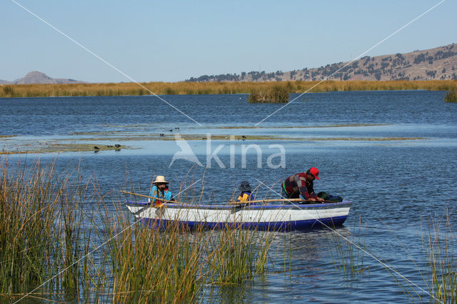 Titicaca meer