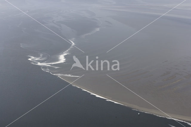 Waddenzee