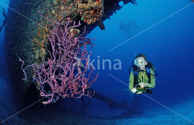 Bonaire National Marine Park