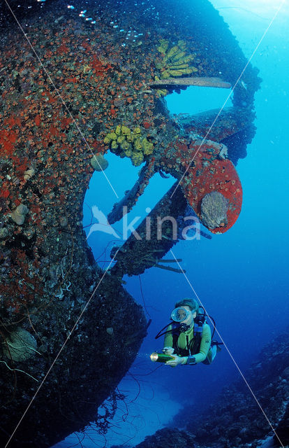 Bonaire National Marine Park