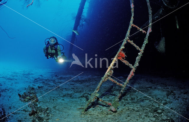 Bonaire National Marine Park