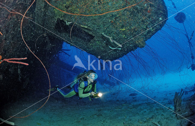 Bonaire National Marine Park