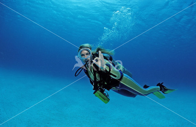 Bonaire National Marine Park