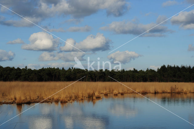 Geeneindsche heide