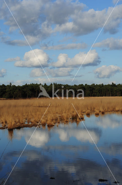 Geeneindsche heide