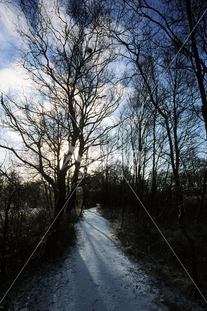 National Park De Alde Feanen