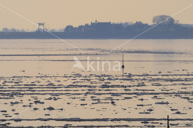 Nationaal Park Lauwersmeer