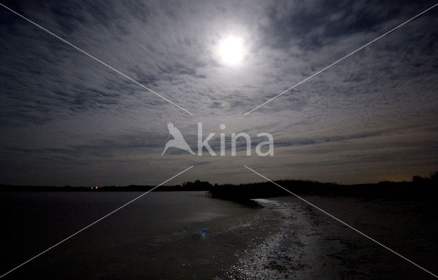 Nationaal Park Lauwersmeer