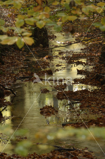 Nationaal Park Veluwezoom